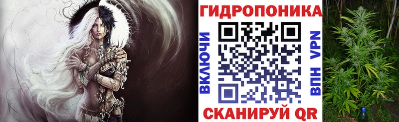Бошки марихуана White Widow  дарк нет как зайти  Осташков 